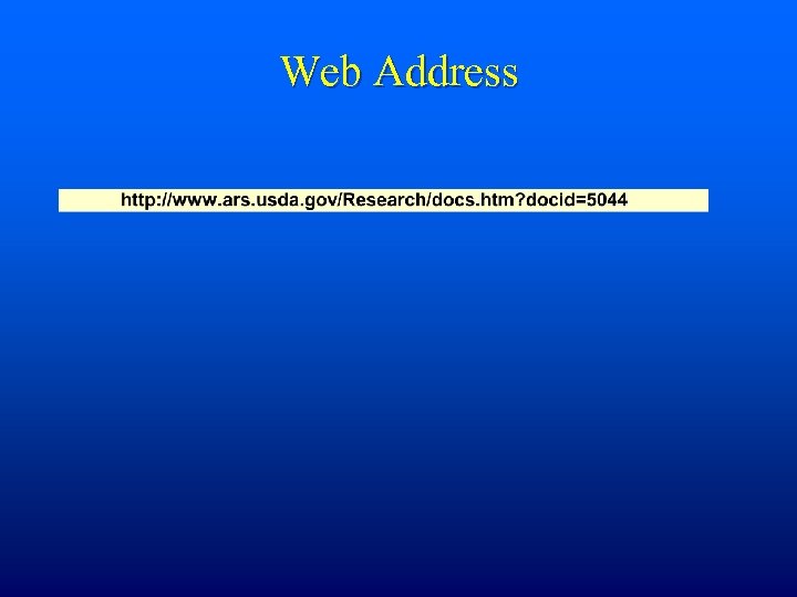 Web Address 