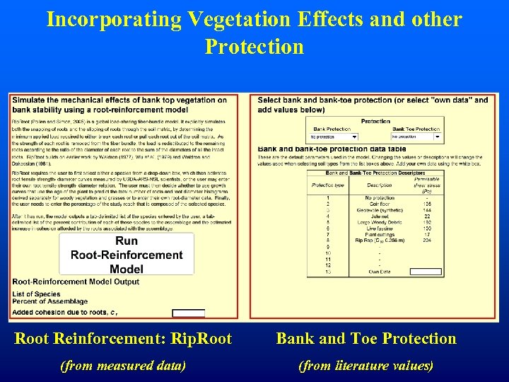 Incorporating Vegetation Effects and other Protection Root Reinforcement: Rip. Root Bank and Toe Protection