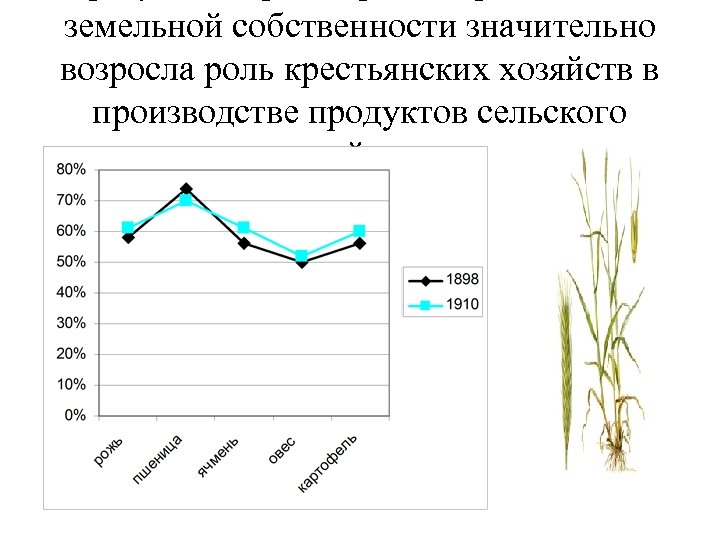 земельной собственности значительно возросла роль крестьянских хозяйств в производстве продуктов сельского хозяйства: 