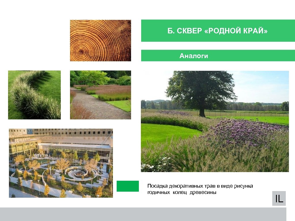 Б. СКВЕР «РОДНОЙ КРАЙ» Аналоги Посадка декоративных трав в виде рисунка годичных колец древесины