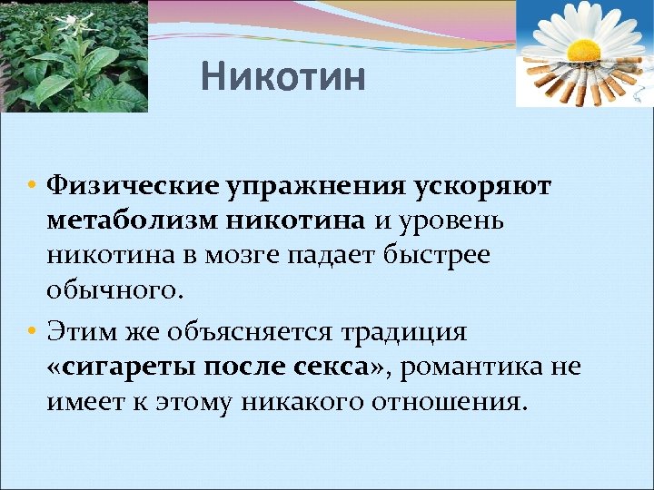 Никотин • Физические упражнения ускоряют метаболизм никотина и уровень никотина в мозге падает быстрее