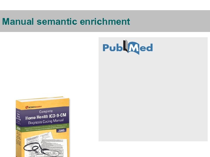 Manual semantic enrichment 