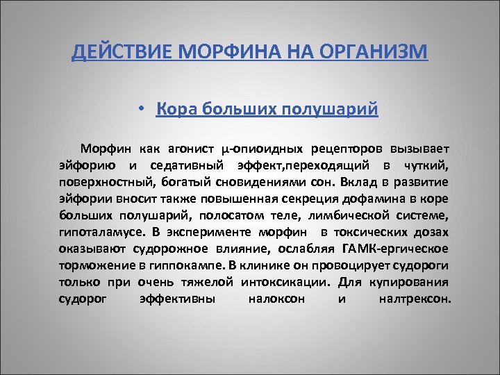 ДЕЙСТВИЕ МОРФИНА НА ОРГАНИЗМ • Кора больших полушарий Морфин как агонист μ-опиоидных рецепторов вызывает