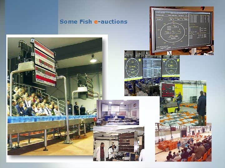 Some Fish e-auctions 