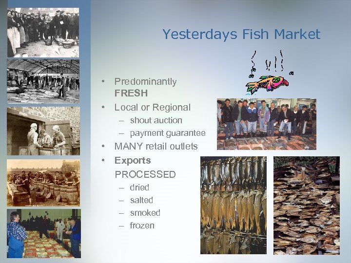 Yesterdays Fish Market • Predominantly FRESH • Local or Regional – shout auction –