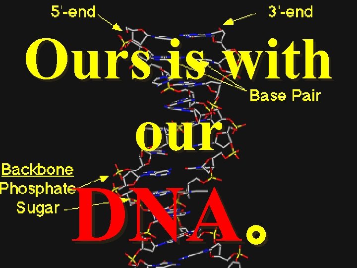 Ours is with our DNA。 