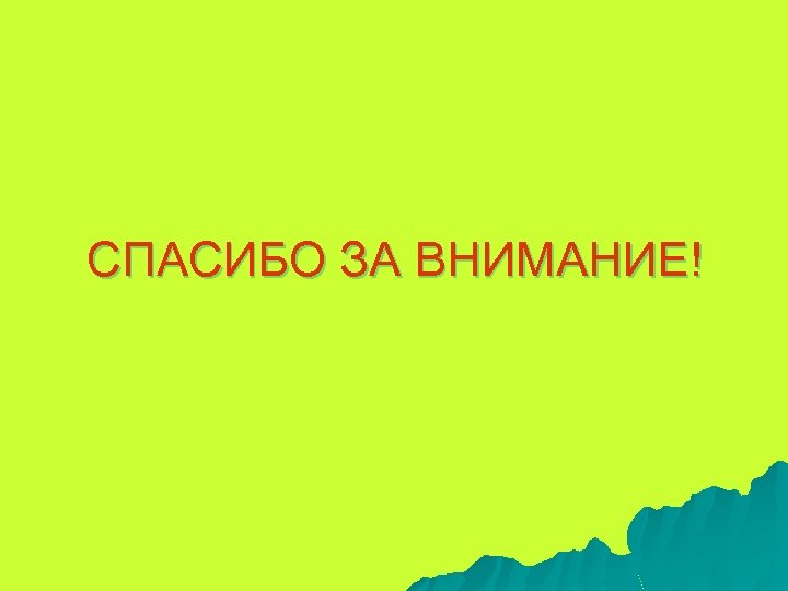 СПАСИБО ЗА ВНИМАНИЕ! 