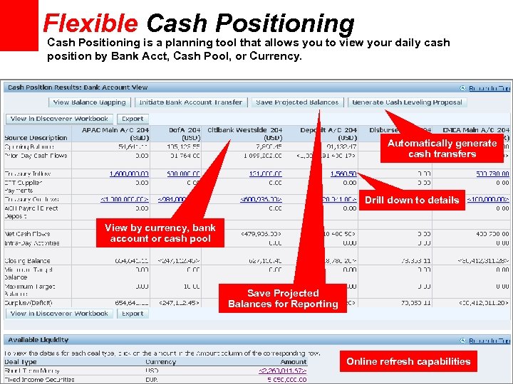 Flexible Cash Positioning is a planning tool that allows you to view your daily