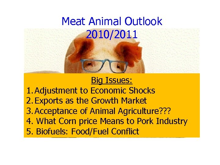Meat Animal Outlook 2010/2011 Big Issues: 1. Adjustment to Economic Shocks 2. Exports as