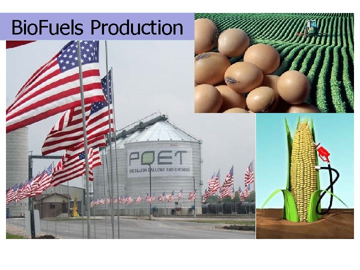Bio. Fuels Production Department of Agricultural Economics Purdue University 