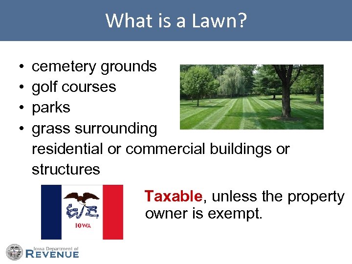 What is a Lawn? • • cemetery grounds golf courses parks grass surrounding residential