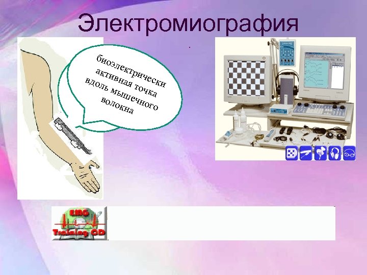 Электромиография. био эл акт ектри обр ив а вдо бо ная чески т спи