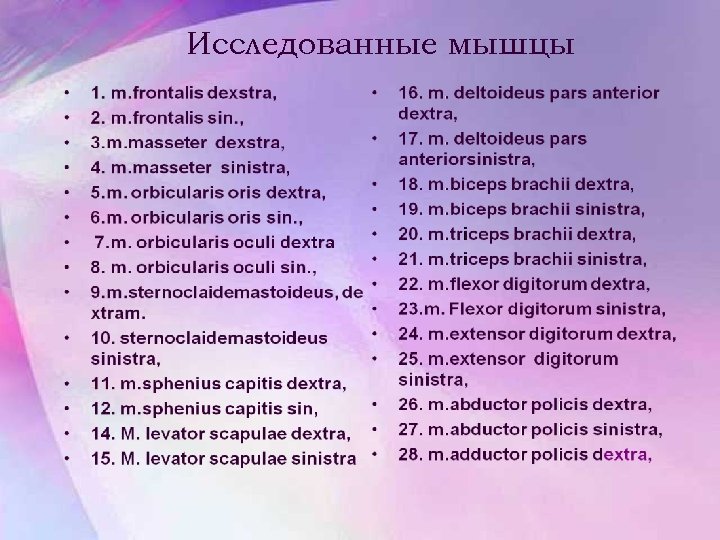 Исследованные мышцы 