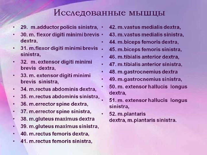 Исследованные мышцы 