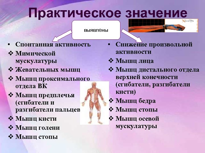 Практическое значение выявлены • Спонтанная активность v Мимической мускулатуры v Жевательных мышц v Мышц