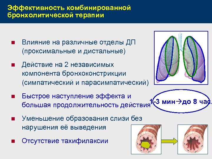 Эффективность комбинированной бронхолитической терапии n Влияние на различные отделы ДП (проксимальные и дистальные) n