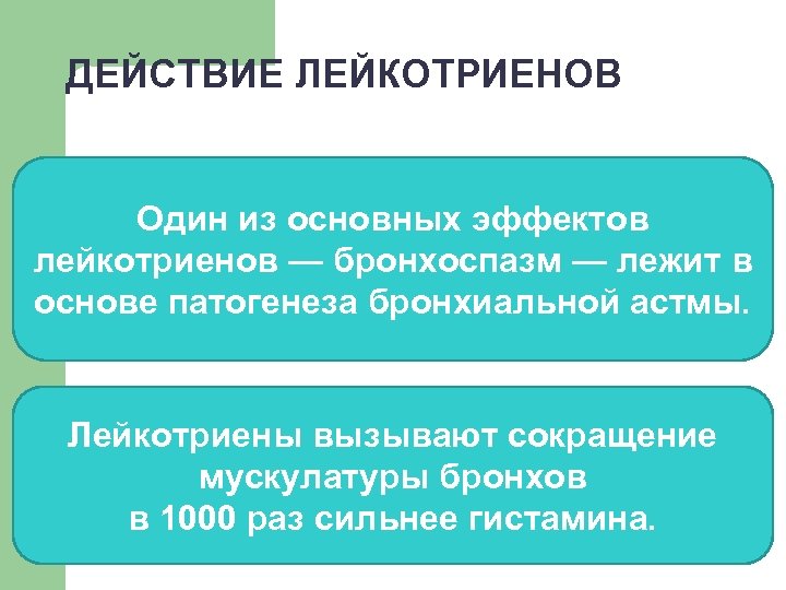 ДЕЙСТВИЕ ЛЕЙКОТРИЕНОВ Один из основных эффектов лейкотриенов — бронхоспазм — лежит в основе патогенеза