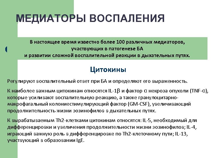 МЕДИАТОРЫ ВОСПАЛЕНИЯ В настоящее время известно более 100 различных медиаторов, участвующих в патогенезе БА