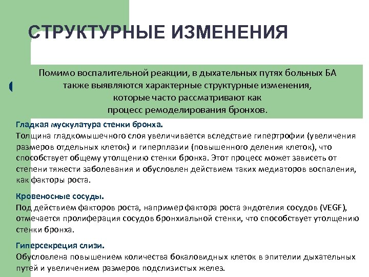 СТРУКТУРНЫЕ ИЗМЕНЕНИЯ Помимо воспалительной реакции, в дыхательных путях больных БА также выявляются характерные структурные