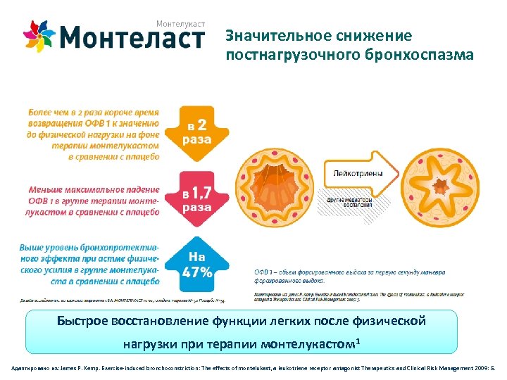 Значительное снижение постнагрузочного бронхоспазма Быстрое восстановление функции легких после физической нагрузки при терапии монтелукастом