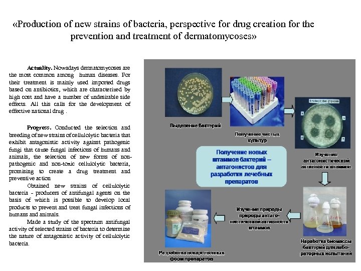  «Production of new strains of bacteria, perspective for drug creation for the prevention