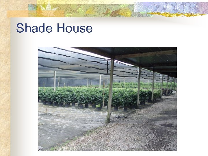 Shade House 