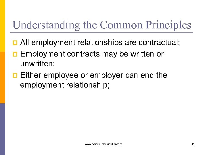 Understanding the Common Principles All employment relationships are contractual; p Employment contracts may be