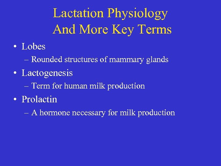Lactation Physiology And More Key Terms • Lobes – Rounded structures of mammary glands