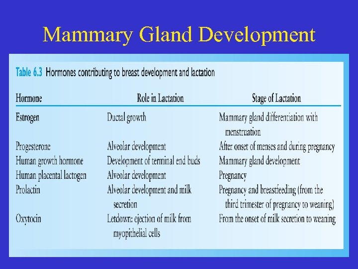 Mammary Gland Development 
