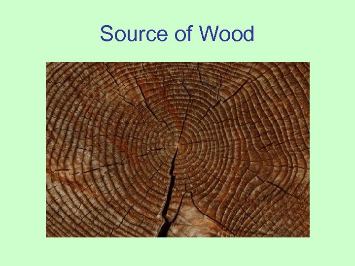 Source of Wood 