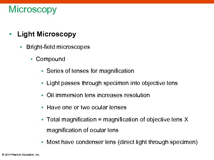 Microscopy • Light Microscopy • Bright-field microscopes • Compound • Series of lenses for