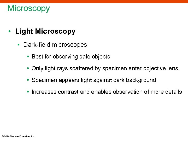 Microscopy • Light Microscopy • Dark-field microscopes • Best for observing pale objects •