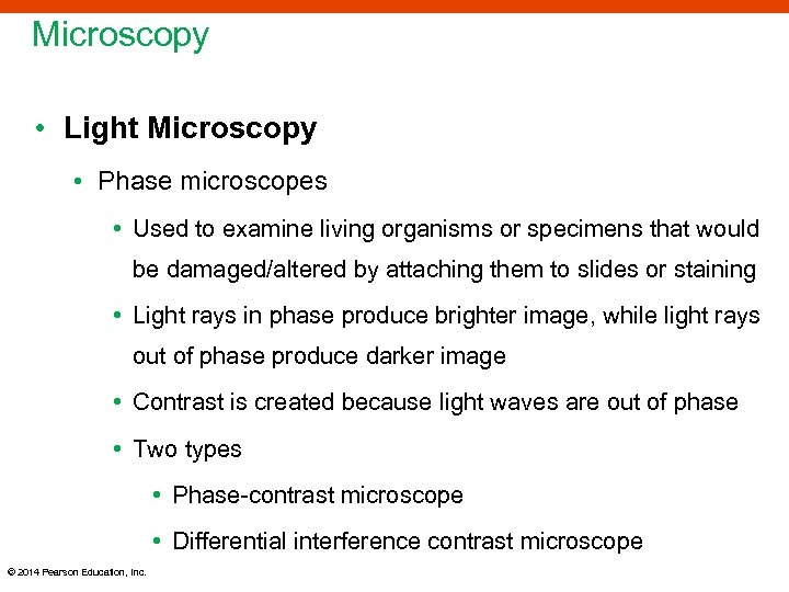 Microscopy • Light Microscopy • Phase microscopes • Used to examine living organisms or