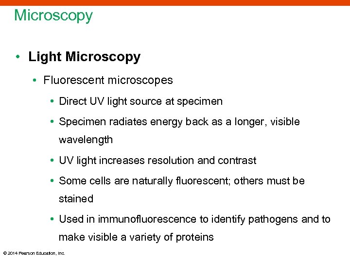 Microscopy • Light Microscopy • Fluorescent microscopes • Direct UV light source at specimen