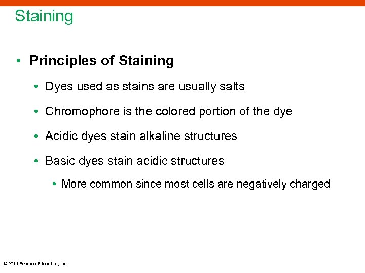 Staining • Principles of Staining • Dyes used as stains are usually salts •