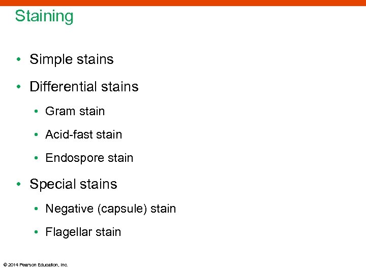 Staining • Simple stains • Differential stains • Gram stain • Acid-fast stain •