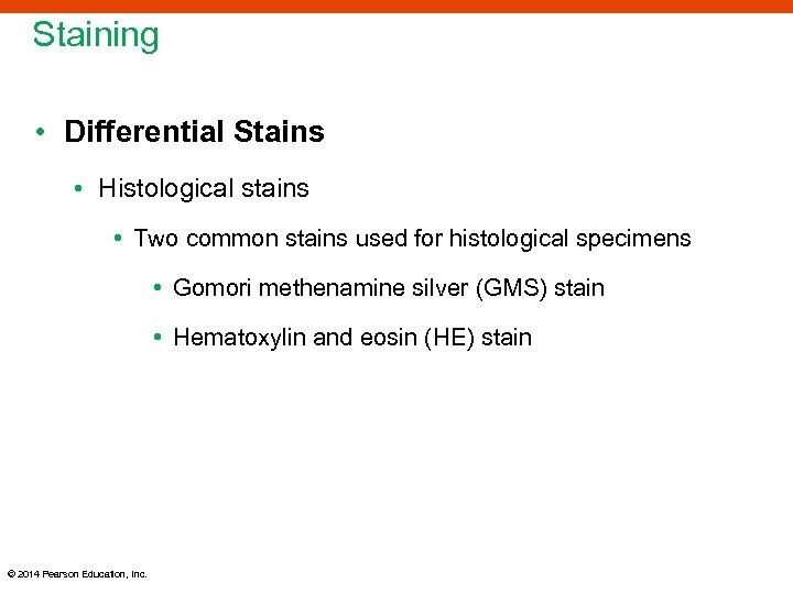 Staining • Differential Stains • Histological stains • Two common stains used for histological