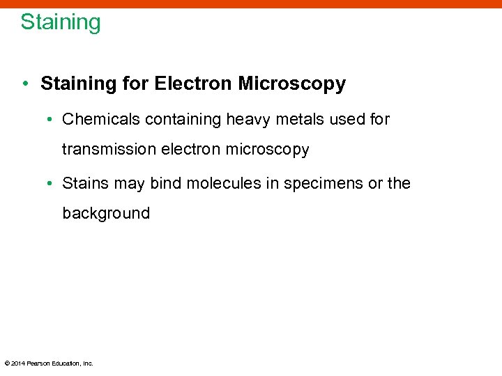 Staining • Staining for Electron Microscopy • Chemicals containing heavy metals used for transmission