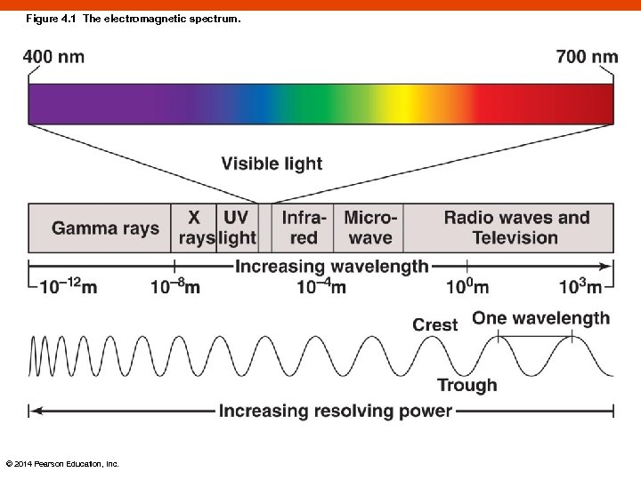 Figure 4. 1 The electromagnetic spectrum. © 2014 Pearson Education, Inc. 