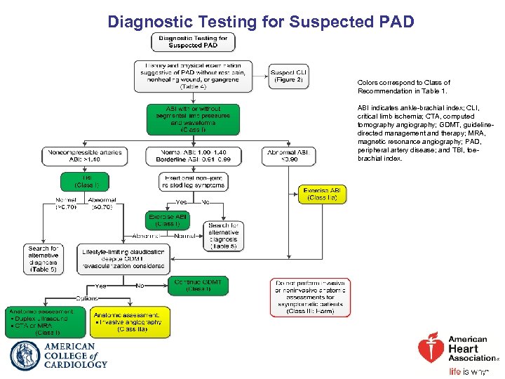 Diagnostic Testing for Suspected PAD Colors correspond to Class of Recommendation in Table 1.