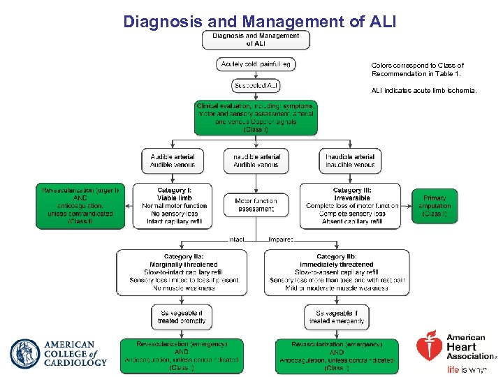 Diagnosis and Management of ALI Colors correspond to Class of Recommendation in Table 1.