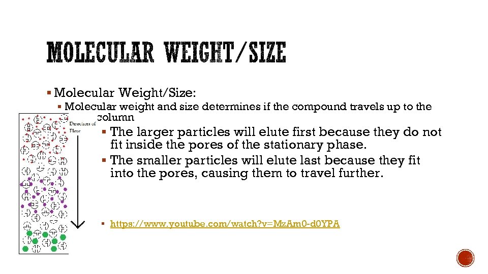 § Molecular Weight/Size: § Molecular weight and size determines if the compound travels up