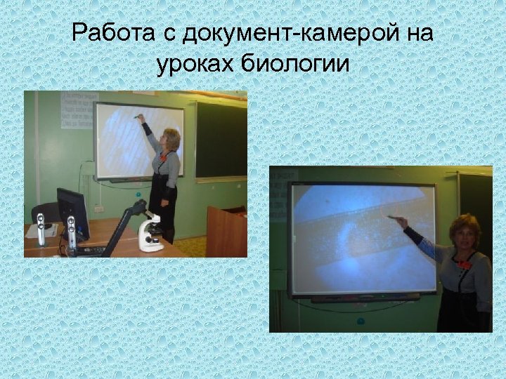 Работа с документ-камерой на уроках биологии 