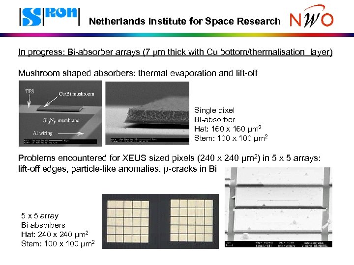 Netherlands Institute for Space Research In progress: Bi-absorber arrays (7 μm thick with Cu