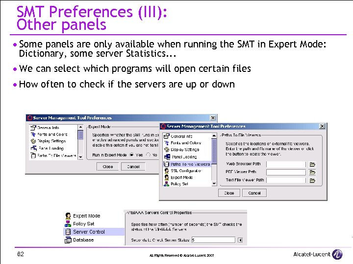 SMT Preferences (III): Other panels · Some panels are only available when running the