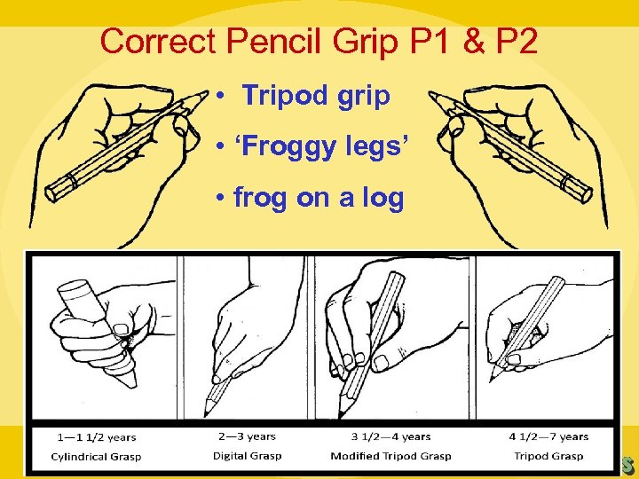 Correct Pencil Grip P 1 & P 2 • Tripod grip • ‘Froggy legs’