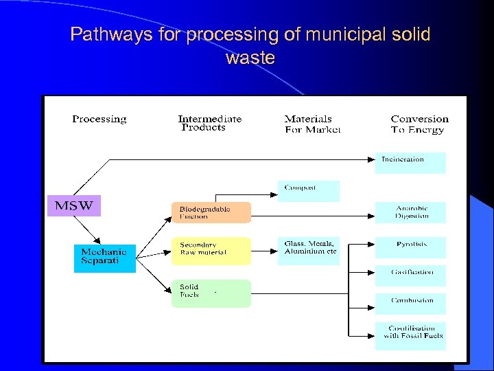 Pathways for processing of municipal solid waste 