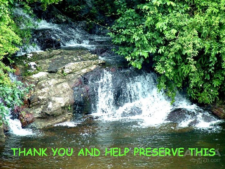 Thank You THANK YOU AND HELP PRESERVE THIS 