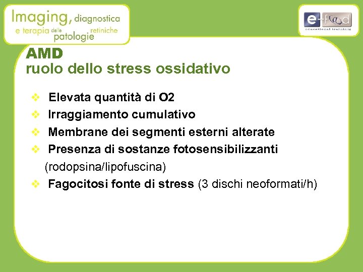 AMD ruolo dello stress ossidativo v Elevata quantità di O 2 v Irraggiamento cumulativo