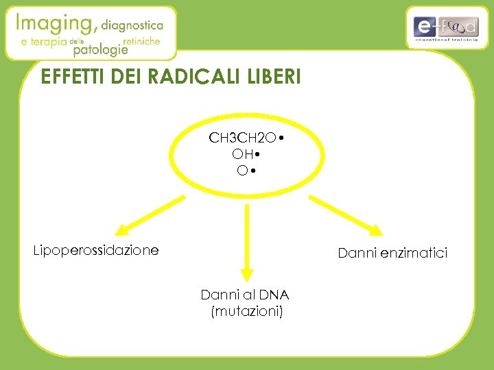 EFFETTI DEI RADICALI LIBERI CH 3 CH 2 O • OH • O •